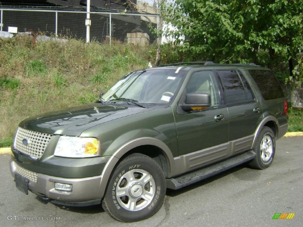 2003 Expedition Eddie Bauer 4x4 - Estate Green Metallic / Medium Parchment photo #1