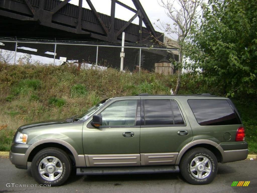 2003 Expedition Eddie Bauer 4x4 - Estate Green Metallic / Medium Parchment photo #2