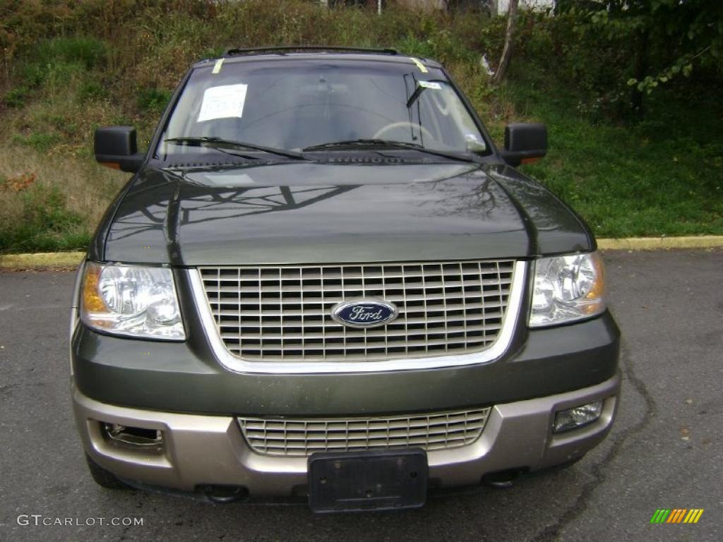 2003 Expedition Eddie Bauer 4x4 - Estate Green Metallic / Medium Parchment photo #3