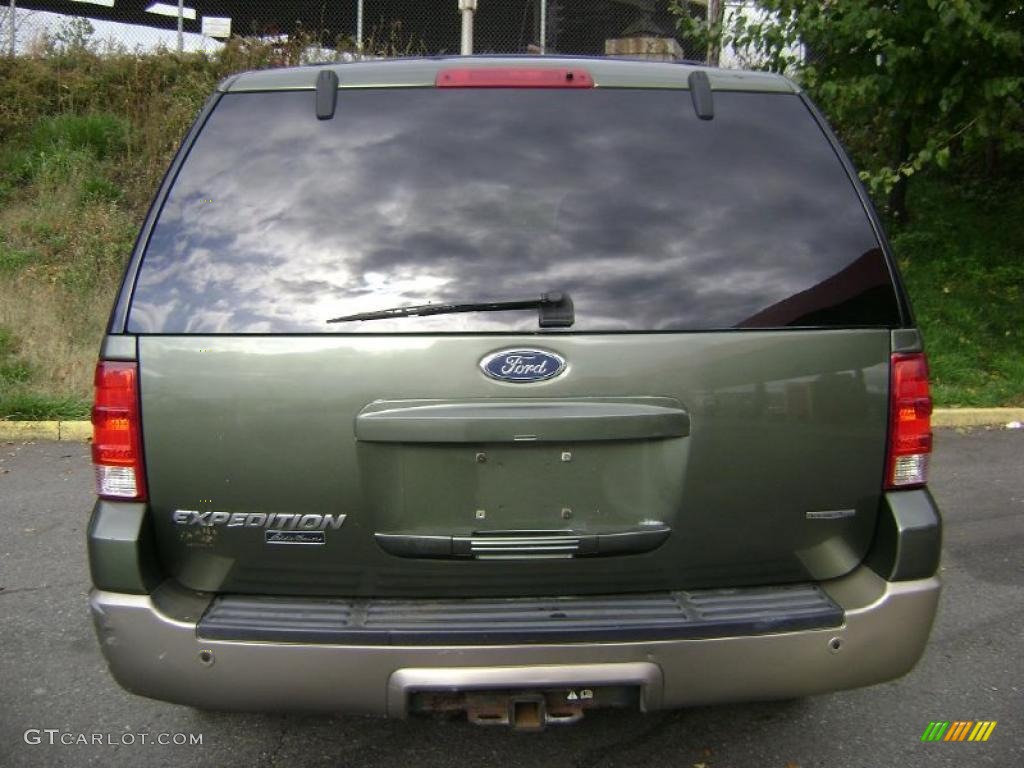 2003 Expedition Eddie Bauer 4x4 - Estate Green Metallic / Medium Parchment photo #5