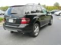 Black - ML 350 4Matic Photo No. 2