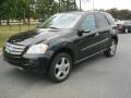 Black 2008 Mercedes-Benz ML 350 4Matic Exterior