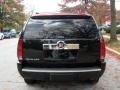 Black Raven - Escalade AWD Photo No. 3