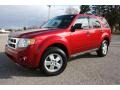 2009 Sangria Red Metallic Ford Escape XLT  photo #24