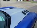 Viper GTS Blue/Silver 2010 Dodge Viper ACR Roanoke Dodge Edition Coupe Exterior