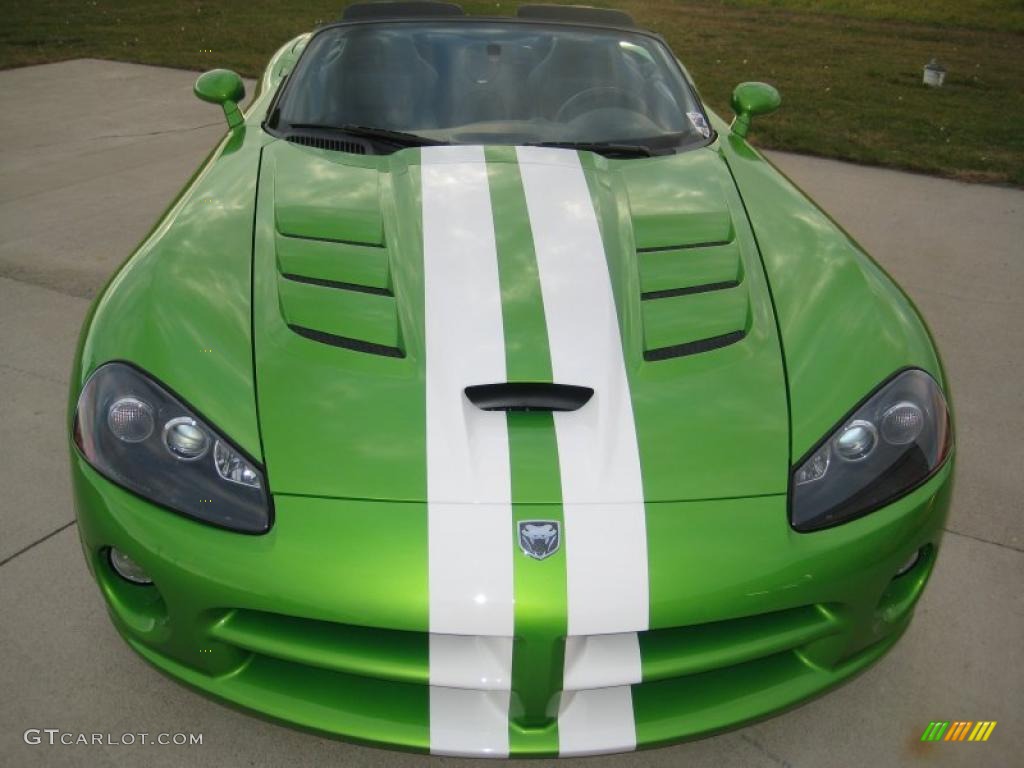 2008 Viper Snakeskin Green Pearlcoat Dodge Viper SRT10 39430968 Photo