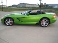 Viper Snakeskin Green Pearlcoat - Viper SRT-10 Photo No. 9