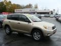 Savannah Metallic - RAV4 4WD Photo No. 1