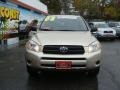Savannah Metallic - RAV4 4WD Photo No. 2