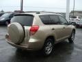 Savannah Metallic - RAV4 4WD Photo No. 4