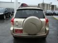 Savannah Metallic - RAV4 4WD Photo No. 5