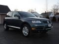 Reed Green Metallic - Touareg V8 Photo No. 2