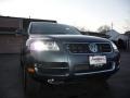 Reed Green Metallic - Touareg V8 Photo No. 15