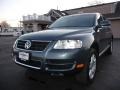 Reed Green Metallic - Touareg V8 Photo No. 16