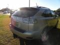 Savannah Metallic - RX 350 AWD Photo No. 14