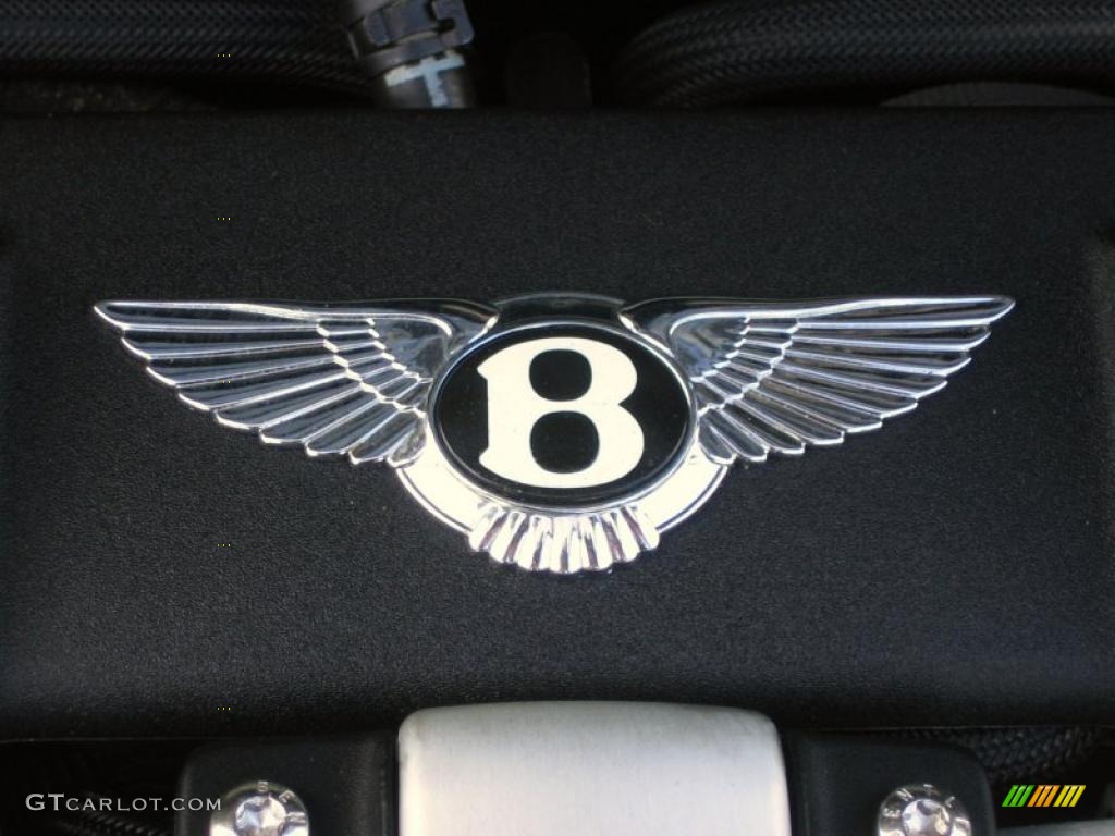 2006 Bentley Continental Flying Spur Standard Continental Flying Spur Model Marks and Logos Photo #39454926