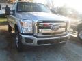 Ingot Silver Metallic - F250 Super Duty XLT Regular Cab 4x4 Photo No. 2