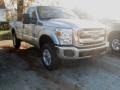 Ingot Silver Metallic - F250 Super Duty XLT Regular Cab 4x4 Photo No. 3