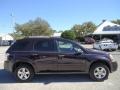 2007 Black Amethyst Metallic Chevrolet Equinox LS  photo #13