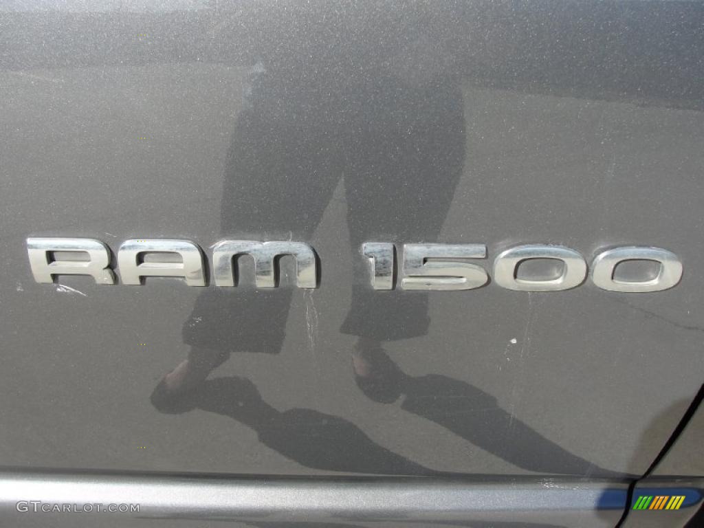 2002 Ram 1500 SLT Regular Cab - Graphite Metallic / Dark Slate Gray photo #21