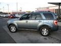 2010 Steel Blue Metallic Ford Escape Limited V6 4WD  photo #11