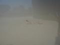 Desert Sand Mica - Camry LE Photo No. 26
