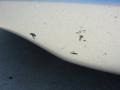 Mercury Silver Metallic - GS 300 Photo No. 29