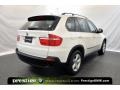 Alpine White - X5 3.0si Photo No. 2
