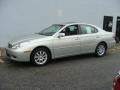 Millennium Silver Metallic - ES 330 Photo No. 3