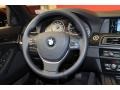 Black Steering Wheel Photo for 2011 BMW 5 Series #39476770
