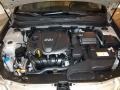Camel Pearl - Sonata GLS Photo No. 10