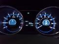 Camel Pearl - Sonata GLS Photo No. 27