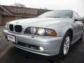 2003 Titanium Silver Metallic BMW 5 Series 530i Sedan  photo #22