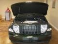 2011 Natural Green Metallic Jeep Liberty Sport 4x4  photo #14