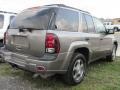 2007 Graystone Metallic Chevrolet TrailBlazer LS 4x4  photo #23