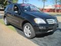 Black - ML 350 4Matic Photo No. 2