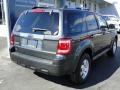 2008 Black Pearl Slate Metallic Ford Escape Limited  photo #10