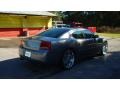 2006 Magnesium Pearlcoat Dodge Charger R/T  photo #3