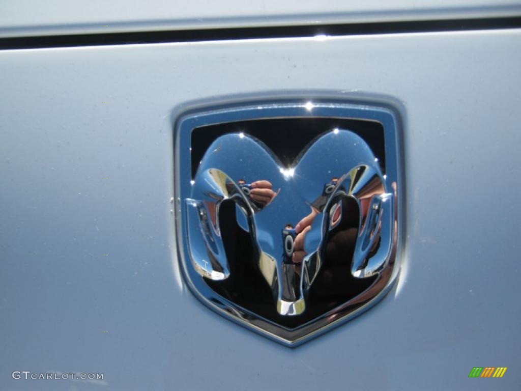 2010 Dodge Challenger R/T Classic Marks and Logos Photo #39497347