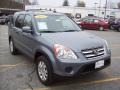 Pewter Pearl - CR-V Special Edition 4WD Photo No. 1