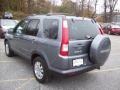 Pewter Pearl - CR-V Special Edition 4WD Photo No. 2
