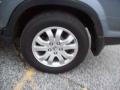 Pewter Pearl - CR-V Special Edition 4WD Photo No. 12