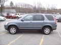 Pewter Pearl - CR-V Special Edition 4WD Photo No. 23