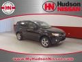 Labrador Black Pearl - Outlander XLS Photo No. 1