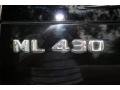 Black - ML 430 4Matic Photo No. 45