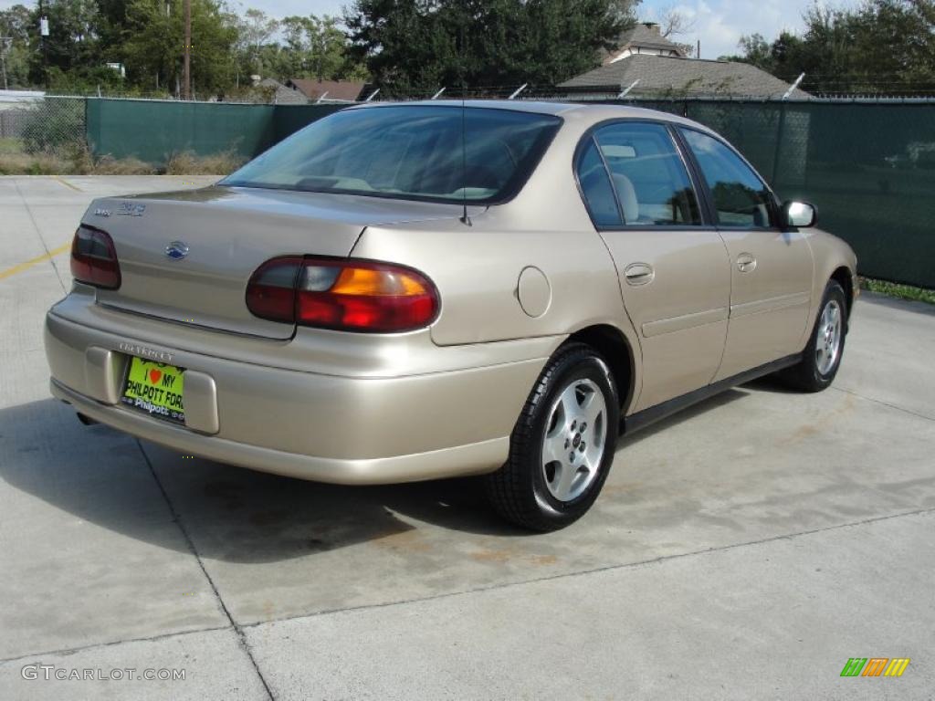 2004 Classic  - Light Driftwood Metallic / Beige photo #3