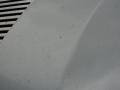 Liquid Silver Metallic - Maxima 3.5 SL Photo No. 12