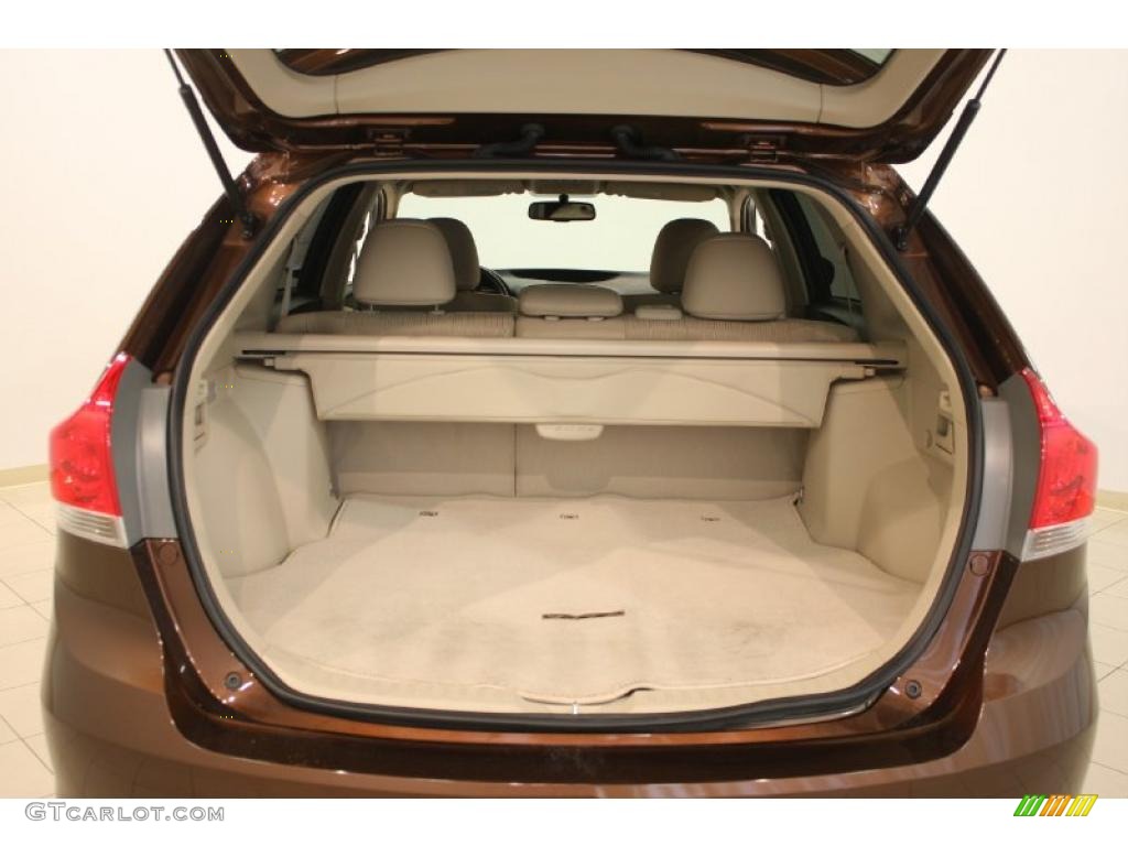 2009 Toyota Venza I4 Trunk Photo #39519008