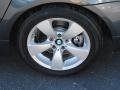 2008 BMW 5 Series 528i Sedan Wheel and Tire Photo