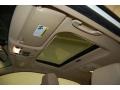 Beige Sunroof Photo for 2009 BMW 3 Series #39526817